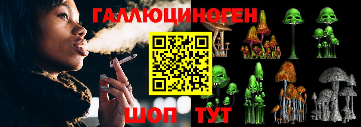 Псилоцибиновые грибы MAGIC MUSHROOMS  Вход с VPN  Псилоцибиновые грибы Cubensis  Волгодонск 